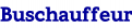 Buschauffeur